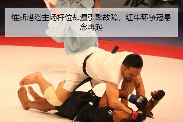 wei-si-ta-pan-zhu-chang-gan-wei-que-zao-yin-qing-gu-zhang-hong-niu-huan-zheng-guan-xuan-nian-zai-qi-2-772.jpg
